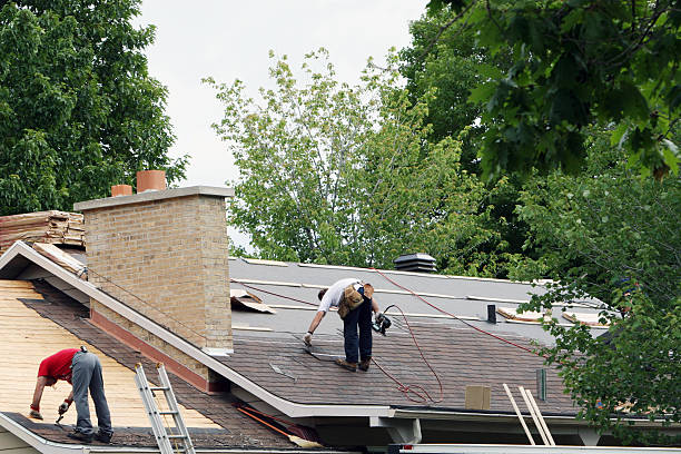 Fast & Reliable Emergency Roof Repairs in Horizon West, FL